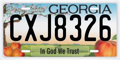 GA license plate CXJ8326