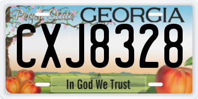 GA license plate CXJ8328