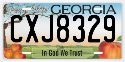 GA license plate CXJ8329