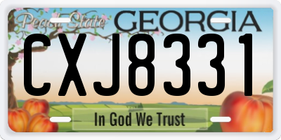 GA license plate CXJ8331