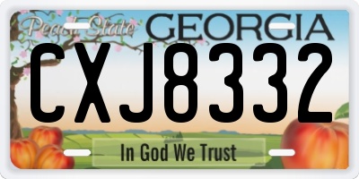 GA license plate CXJ8332