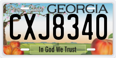 GA license plate CXJ8340