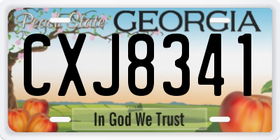 GA license plate CXJ8341