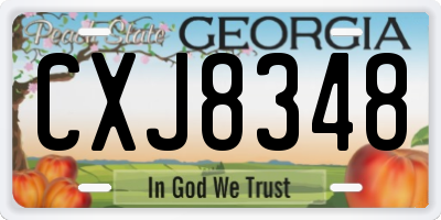 GA license plate CXJ8348