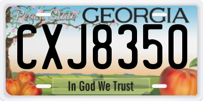 GA license plate CXJ8350