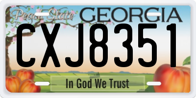 GA license plate CXJ8351