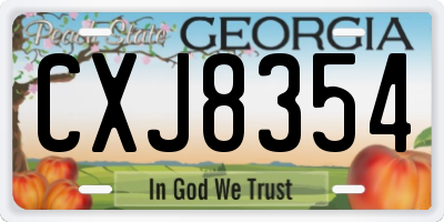 GA license plate CXJ8354