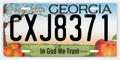 GA license plate CXJ8371