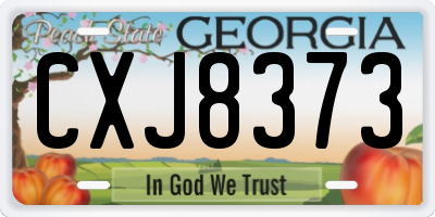 GA license plate CXJ8373