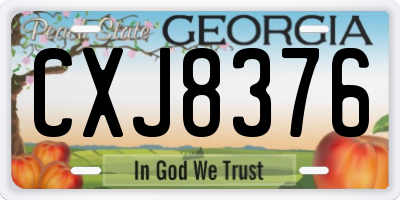 GA license plate CXJ8376