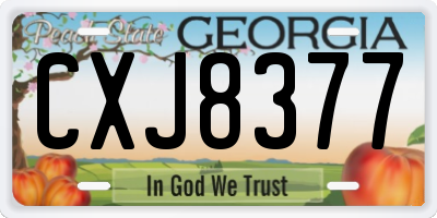 GA license plate CXJ8377