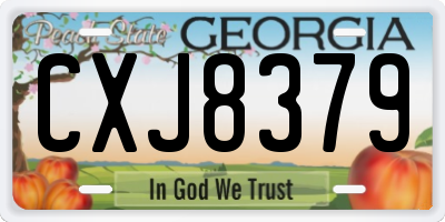 GA license plate CXJ8379