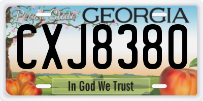 GA license plate CXJ8380