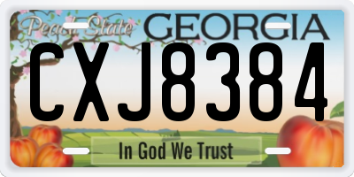GA license plate CXJ8384