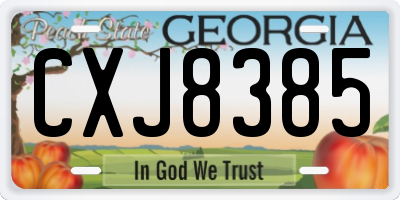 GA license plate CXJ8385