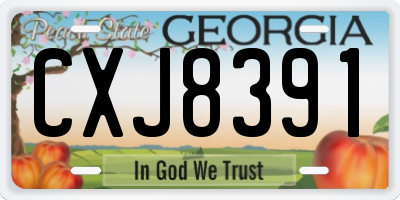 GA license plate CXJ8391