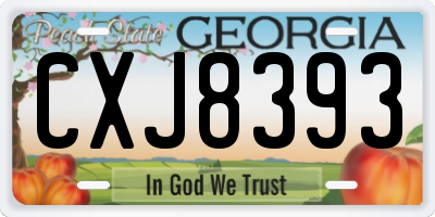 GA license plate CXJ8393