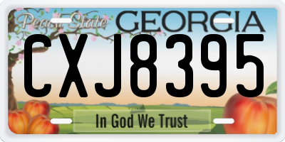 GA license plate CXJ8395