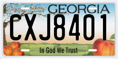 GA license plate CXJ8401