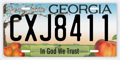 GA license plate CXJ8411
