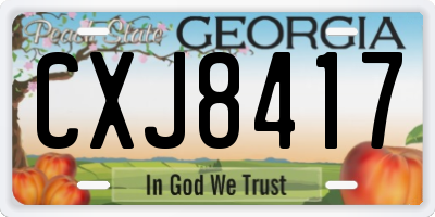 GA license plate CXJ8417