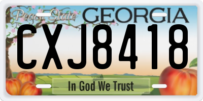 GA license plate CXJ8418