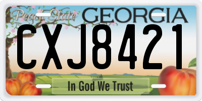 GA license plate CXJ8421