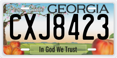 GA license plate CXJ8423