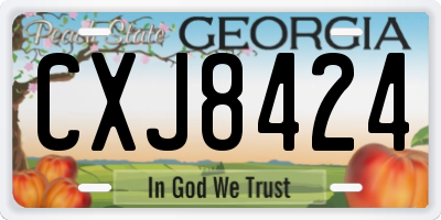 GA license plate CXJ8424