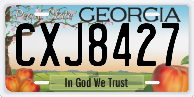 GA license plate CXJ8427