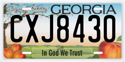 GA license plate CXJ8430