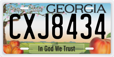 GA license plate CXJ8434