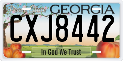 GA license plate CXJ8442