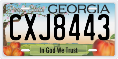 GA license plate CXJ8443