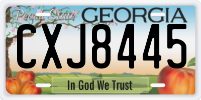GA license plate CXJ8445