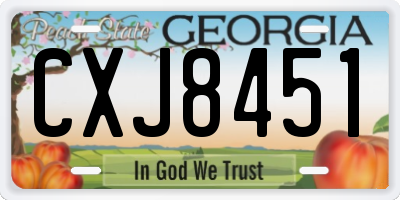 GA license plate CXJ8451