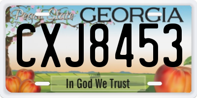 GA license plate CXJ8453