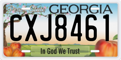 GA license plate CXJ8461