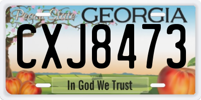 GA license plate CXJ8473