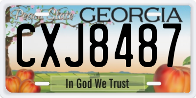 GA license plate CXJ8487