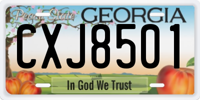 GA license plate CXJ8501