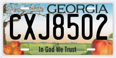 GA license plate CXJ8502