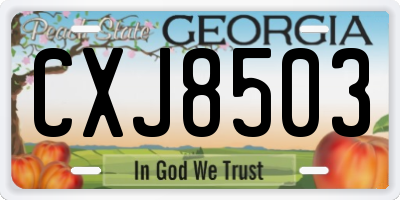GA license plate CXJ8503