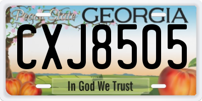 GA license plate CXJ8505