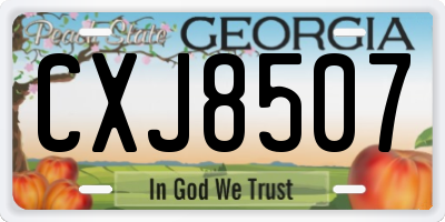 GA license plate CXJ8507