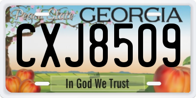 GA license plate CXJ8509