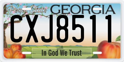 GA license plate CXJ8511