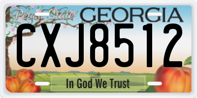 GA license plate CXJ8512