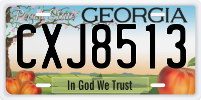 GA license plate CXJ8513