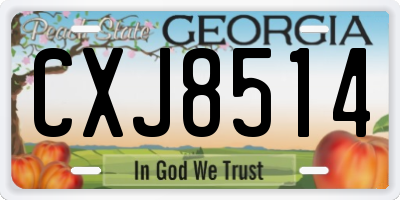 GA license plate CXJ8514